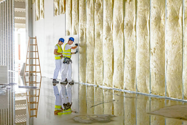 Best Insulation Maintenance and Repair in Fate, TX